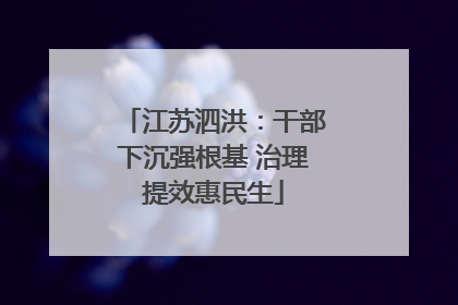 江苏泗洪:干部下沉强根基 治理提效惠民生