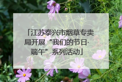 江苏泰兴市烟草专卖局开展“我们的节日·端午”系列活动