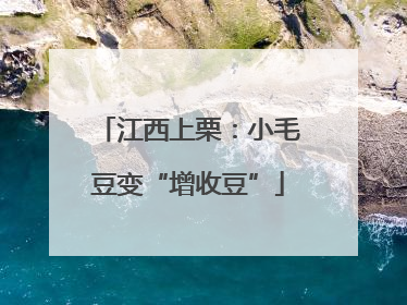 江西上栗：小毛豆变“增收豆”