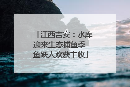 江西吉安：水库迎来生态捕鱼季 鱼跃人欢获丰收