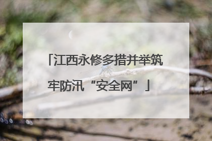 江西永修多措并举筑牢防汛“安全网”