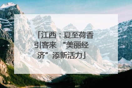 江西：夏至荷香引客来 “美丽经济”添新活力