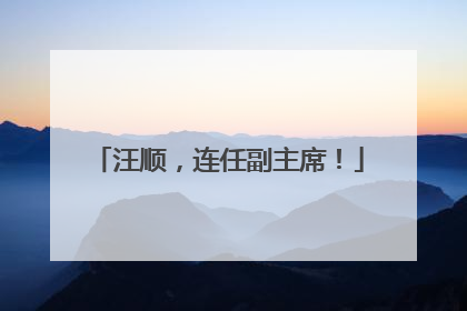 汪顺，连任副主席！