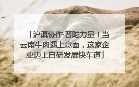 沪滇协作·普陀力量〡当云南牛肉遇上意面，这家企业迈上自研发展快车道