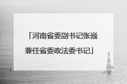 河南省委副书记张巍兼任省委政法委书记