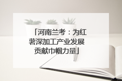 河南兰考：为红薯深加工产业发展贡献巾帼力量