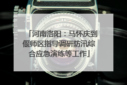 河南洛阳：马怀庆到偃师区指导调研防汛综合应急演练等工作