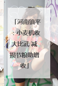 河南镇平：小麦机收大比武 减损节粮助增收