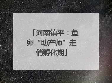 河南镇平：鱼卵“助产师”走俏孵化期