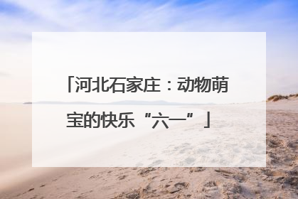 河北石家庄：动物萌宝的快乐“六一”