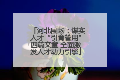 河北围场：谋实人才“引育管用”四篇文章 全面激发人才动力引擎