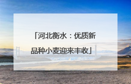 河北衡水：优质新品种小麦迎来丰收