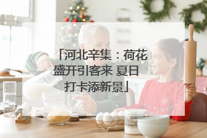 河北辛集：荷花盛开引客来 夏日打卡添新景
