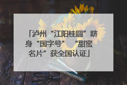 泸州“江阳桂圆”跻身“国字号” “甜蜜名片”获全国认证