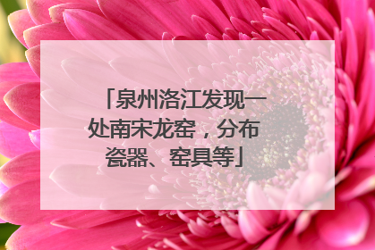 泉州洛江发现一处南宋龙窑，分布瓷器、窑具等