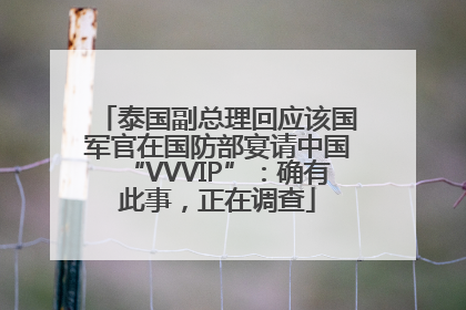 泰国副总理回应该国军官在国防部宴请中国“VVVIP”：确有此事，正在调查