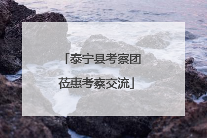 泰宁县考察团莅惠考察交流