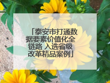 泰安市打通数据要素价值化全链路 入选省级改革精品案例