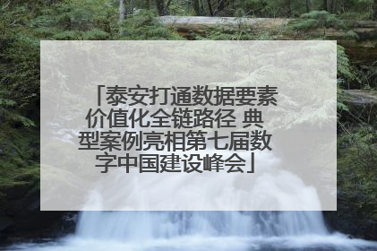 泰安打通数据要素价值化全链路径 典型案例亮相第七届数字中国建设峰会