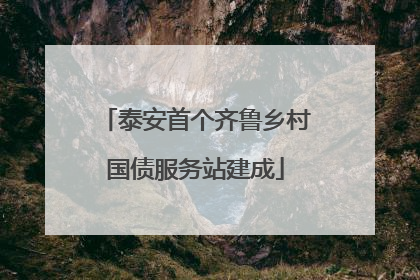 泰安首个齐鲁乡村国债服务站建成