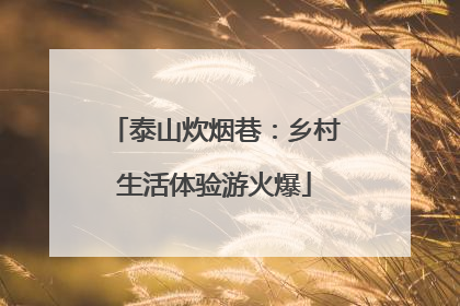 泰山炊烟巷：乡村生活体验游火爆