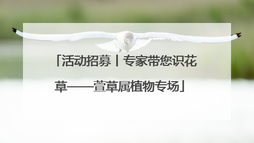 活动招募丨专家带您识花草——萱草属植物专场