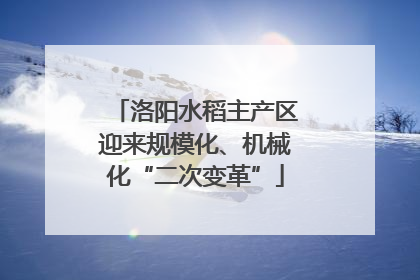 洛阳水稻主产区迎来规模化、机械化“二次变革”