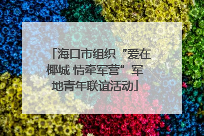 海口市组织“爱在椰城 情牵军营”军地青年联谊活动