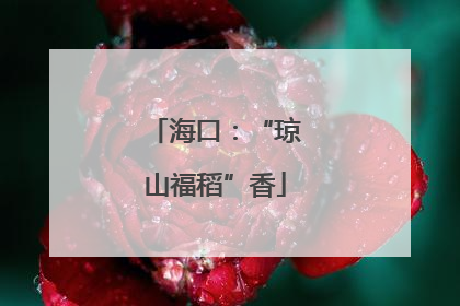 海口：“琼山福稻”香