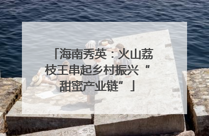 海南秀英：火山荔枝王串起乡村振兴“甜蜜产业链”