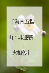 海南五指山：非遗薪火相传