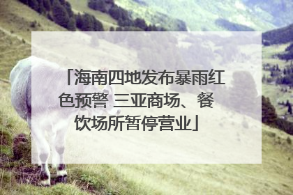 海南四地发布暴雨红色预警 三亚商场、餐饮场所暂停营业