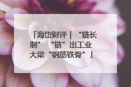 海岱财评｜“链长制” “链”出工业大梁“钢筋铁骨”