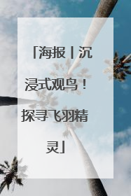 海报丨沉浸式观鸟！探寻飞羽精灵