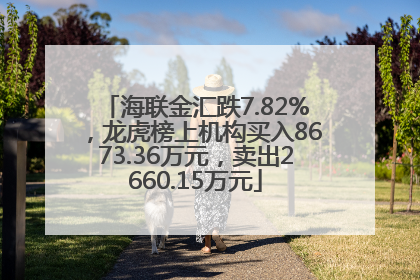 海联金汇跌7.82%，龙虎榜上机构买入8673.36万元，卖出2660.15万元