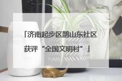 济南起步区鹊山东社区获评“全国文明村”