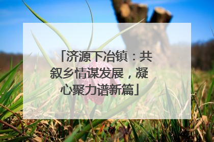 济源下冶镇：共叙乡情谋发展，凝心聚力谱新篇