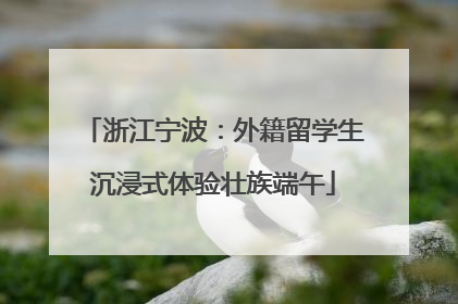 浙江宁波：外籍留学生沉浸式体验壮族端午