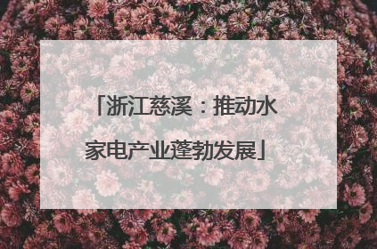 浙江慈溪：推动水家电产业蓬勃发展