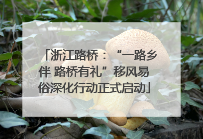 浙江路桥：“一路乡伴 路桥有礼”移风易俗深化行动正式启动