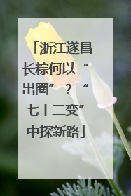 浙江遂昌长粽何以“出圈”？“七十二变”中探新路