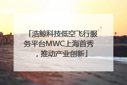 浩鲸科技低空飞行服务平台MWC上海首秀，推动产业创新
