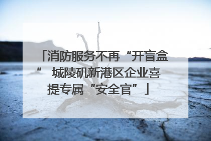 消防服务不再“开盲盒” 城陵矶新港区企业喜提专属“安全官”