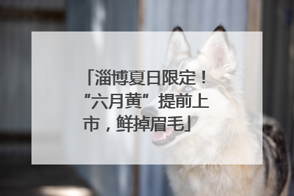 淄博夏日限定！“六月黄”提前上市，鲜掉眉毛