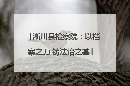 淅川县检察院：以档案之力 铸法治之基