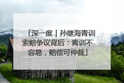 深一度｜孙继海青训索赔争议背后：青训不容易，赔偿可仲裁