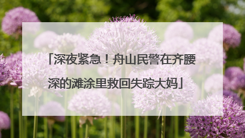 深夜紧急！舟山民警在齐腰深的滩涂里救回失踪大妈