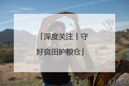 深度关注丨守好良田护粮仓