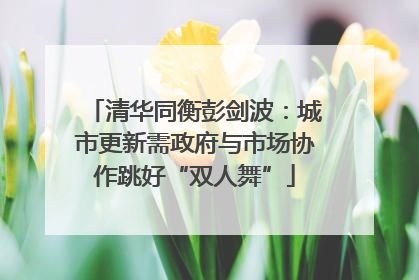 清华同衡彭剑波：城市更新需政府与市场协作跳好“双人舞”