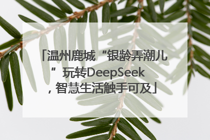 温州鹿城“银龄弄潮儿”玩转DeepSeek，智慧生活触手可及